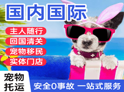 北戴河机场空运国际宠物托运 【国